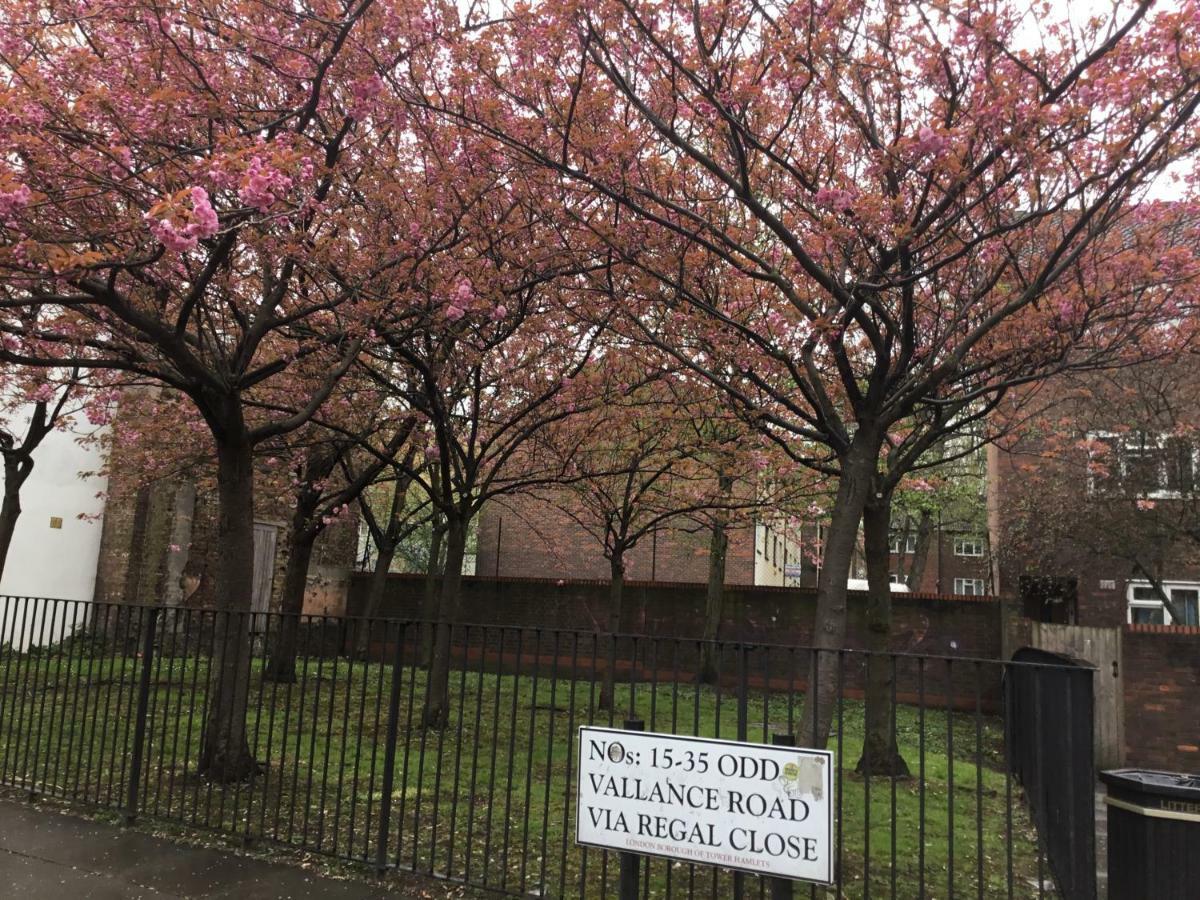 Al Iram Guest House London Luaran gambar