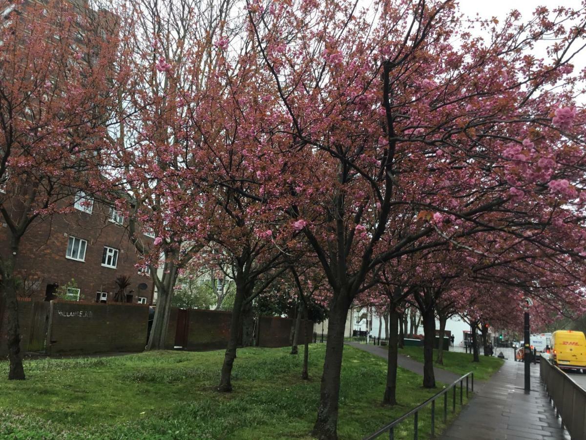 Al Iram Guest House London Luaran gambar